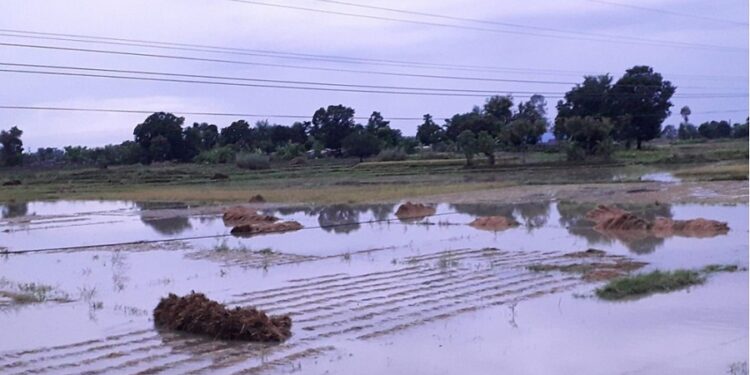 किसानले पाएनन् राहत रकम