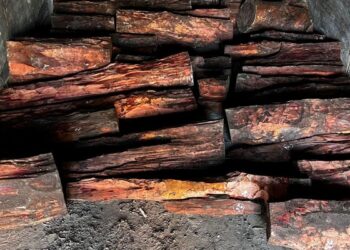 कपिलवस्तुमा साढे ६ क्युन्टल रक्तचन्द सहीत ८ जना नियन्त्रणमा