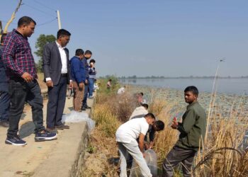 कपिलबस्तुको जगदीशपुर तालमा दश हजार माछाको भुरा छाडियो