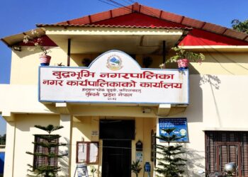 लिजा सार्वजनिक गर्ने बुद्धभुमि बन्यो नेपाल कै पहिलो पालिका