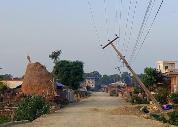 विद्युत पोल ढल्ने डरले स्थानीय त्रसित