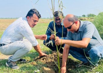 विश्व वातावरण दिवसमा यशोधराको खोरियामा बाँस वृक्षारोपण