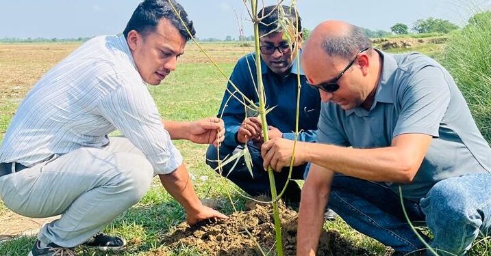 विश्व वातावरण दिवसमा यशोधराको खोरियामा बाँस वृक्षारोपण