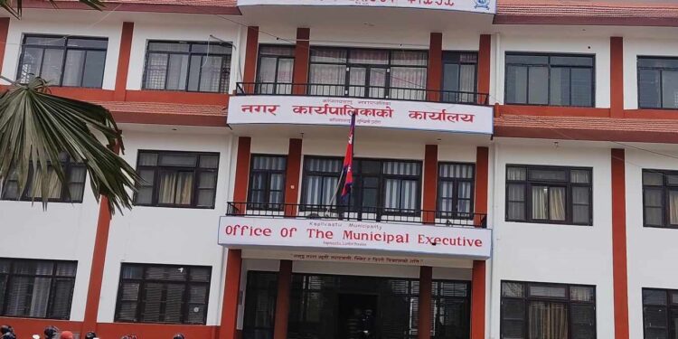 कपिलबस्तुमा भोली स्थानीय विदा