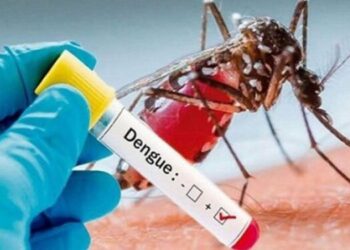 तीन हजारभन्दा बढीमा डेङ्गु पुष्टि, दुईजनाको मृत्यु